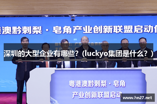 深圳的大型企业有哪些？(luckyo集团是什么？)